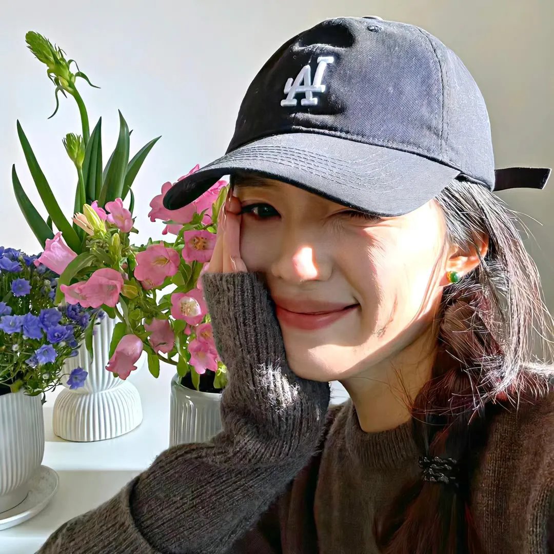 我和我的伙伴